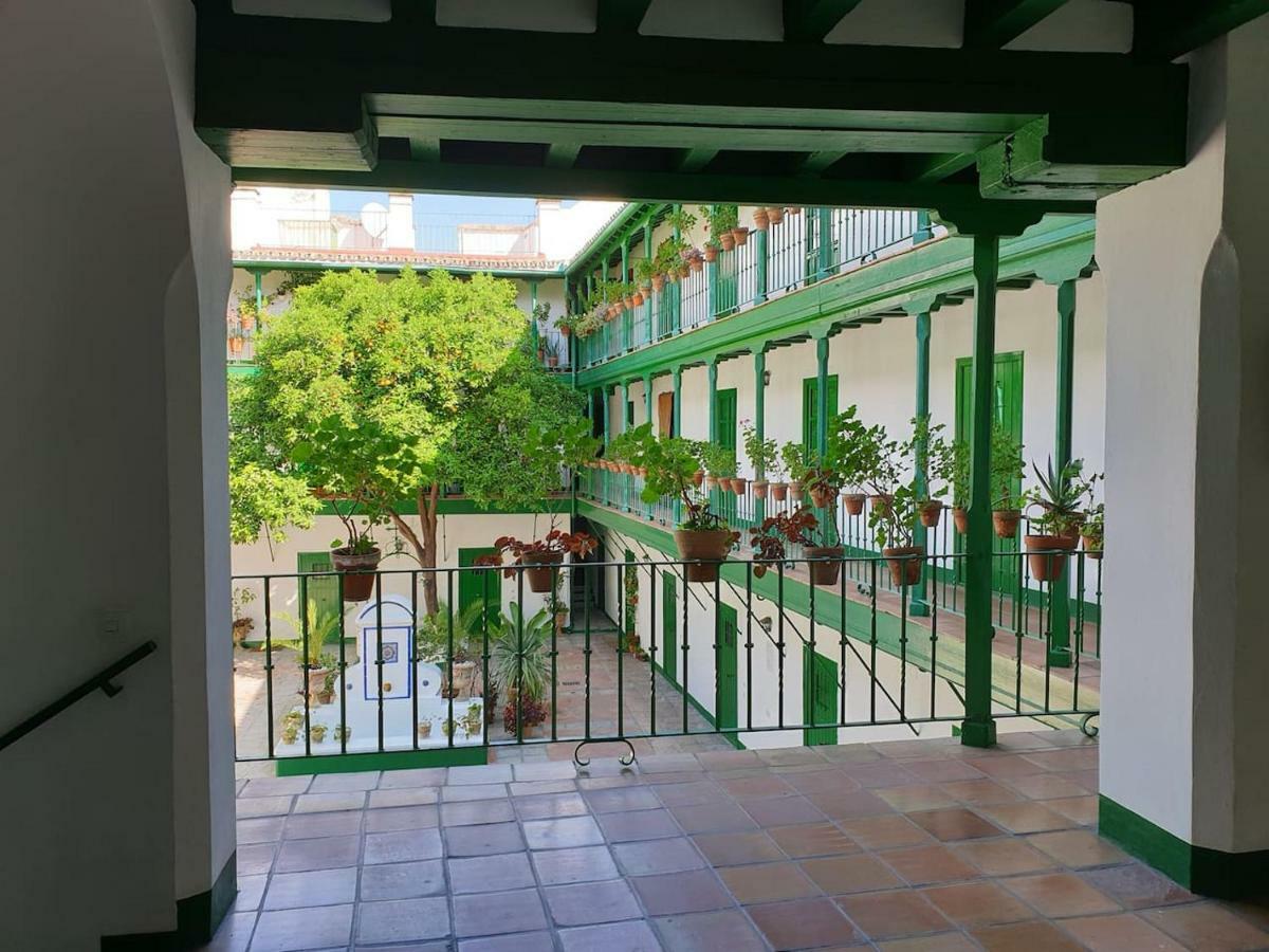 Setas Apartament *