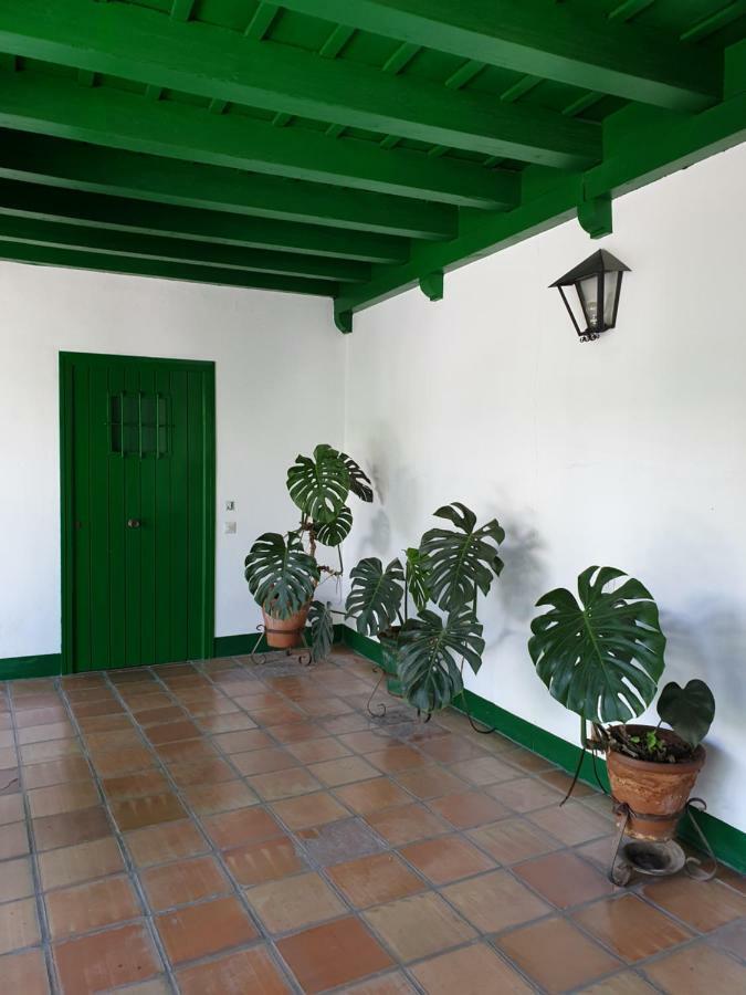 Apartament Setas *