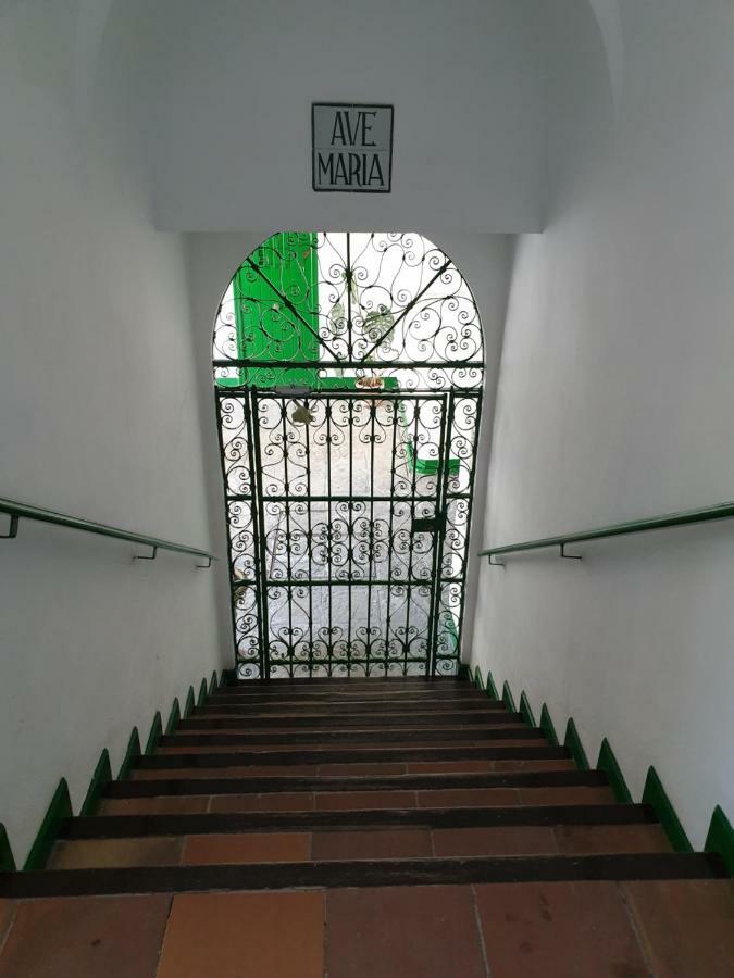 Setas Apartament *
