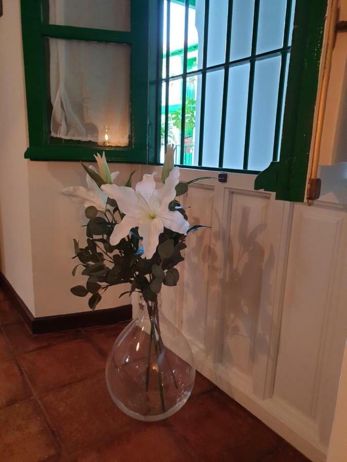 Setas Apartament