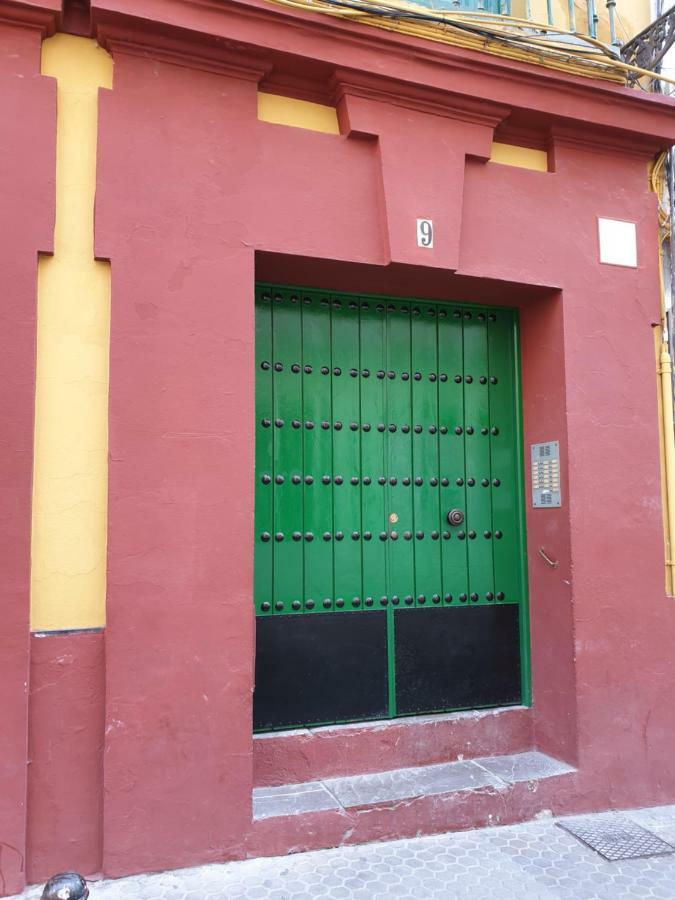 Apartament Setas *