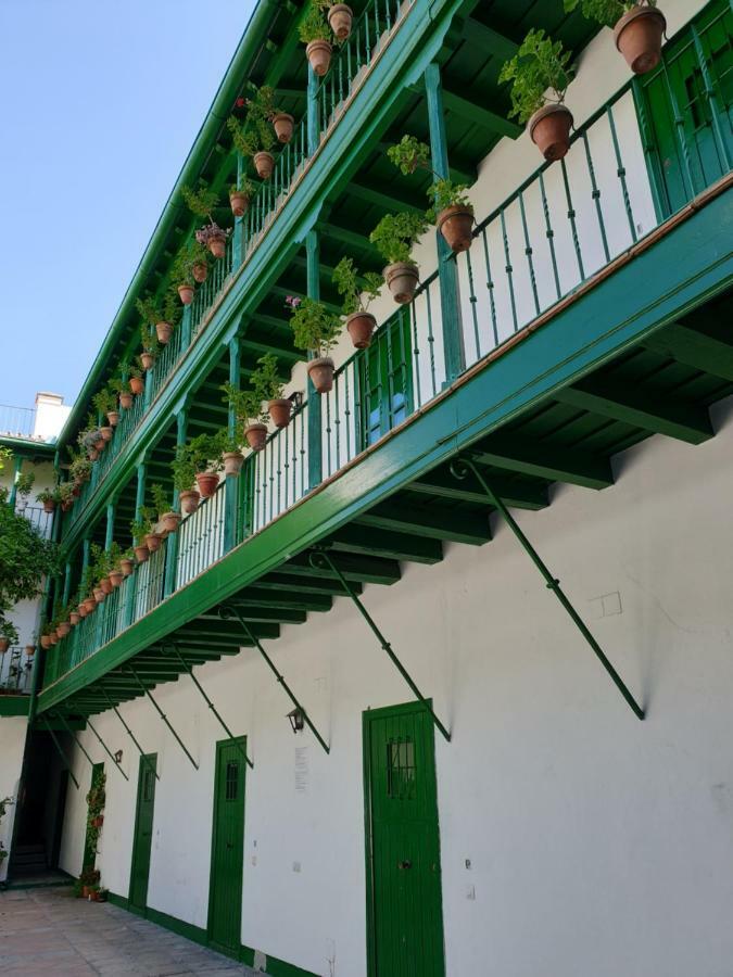 Setas Apartament