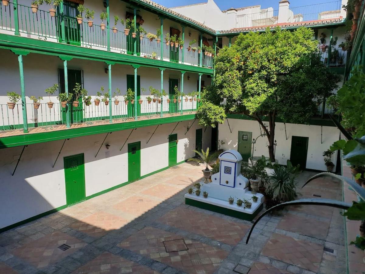 Apartment Setas *